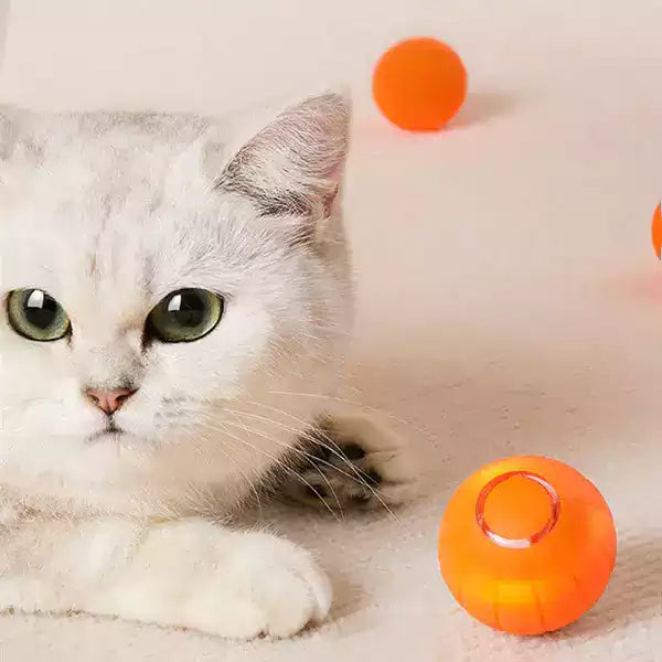 Smart Ball™ - Bolinha Inteligente Para Pets