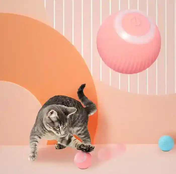 Smart Ball™ - Bolinha Inteligente Para Pets