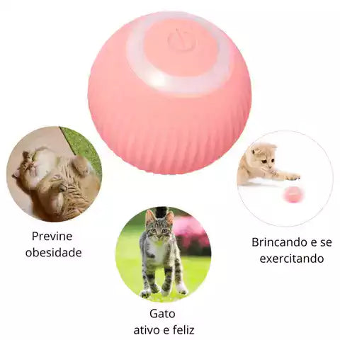 Smart Ball™ - Bolinha Inteligente Para Pets